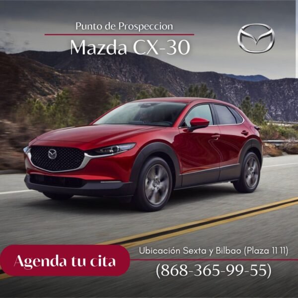 PUNTO DE PROSPECCION MAZDA