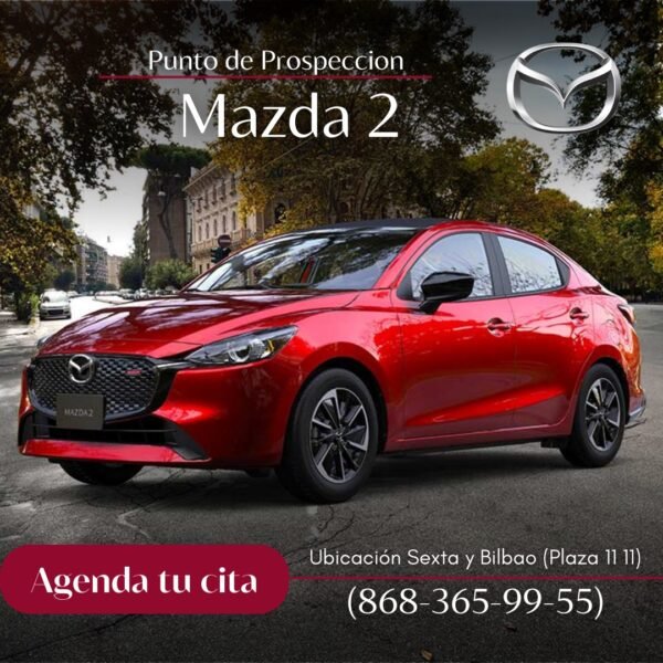 PUNTO DE PROSPECCION MAZDA