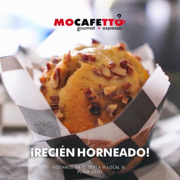 MOCAFETTO GOURMET + EXPRESSO