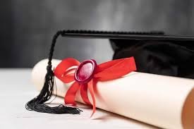 Купить диплом МВШСЭН им. Шанина -516896779