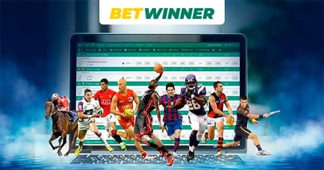The Comprehensive Guide to BetWinner Login Process