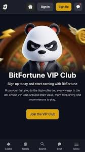 Understanding How Litecoin Works at Bitfortune Casino