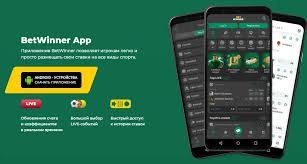 Comprehensive Guide to BetWinner Withdrawal Methods 450446520