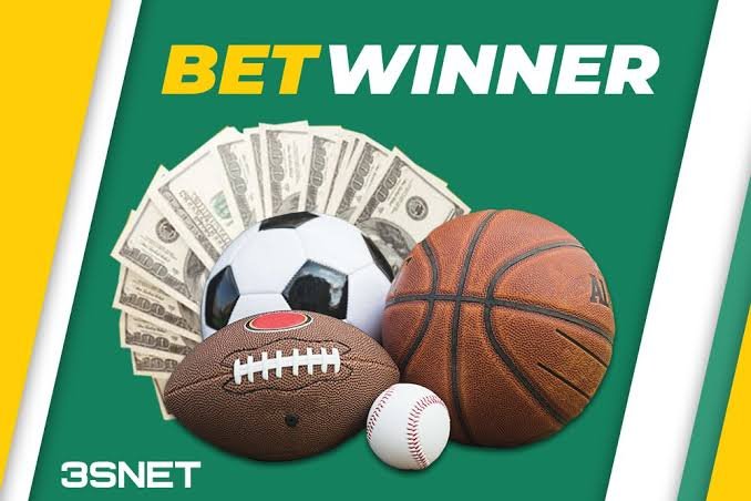 Discovering BetWinner A Comprehensive Overview